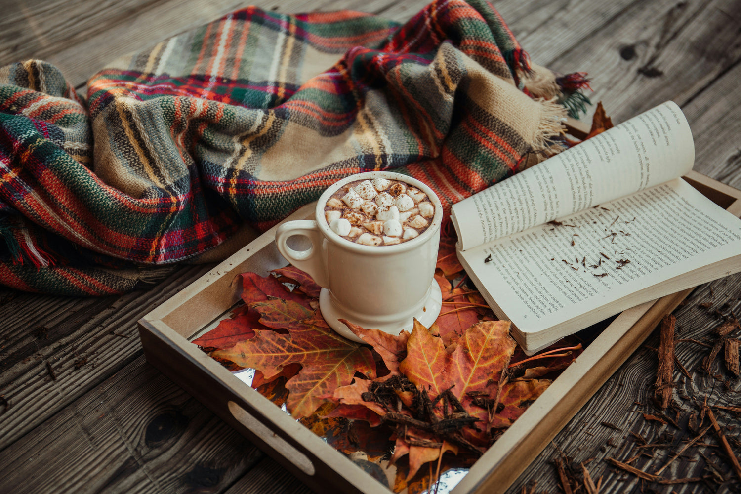 Fall Transition — SznCoded