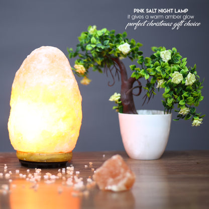 Himalayan Salt Lamp — Dorm Room Ambiance