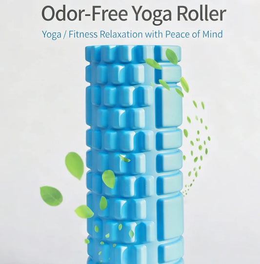 Foam Roller — Student Wellness Essential