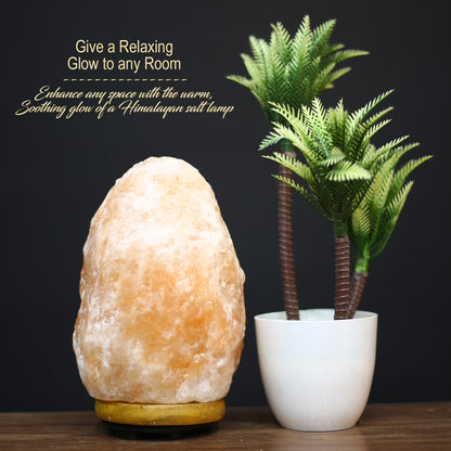 Himalayan Salt Lamp — Dorm Room Ambiance
