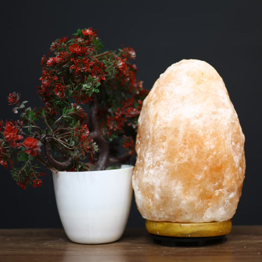 Himalayan Salt Lamp — Dorm Room Ambiance